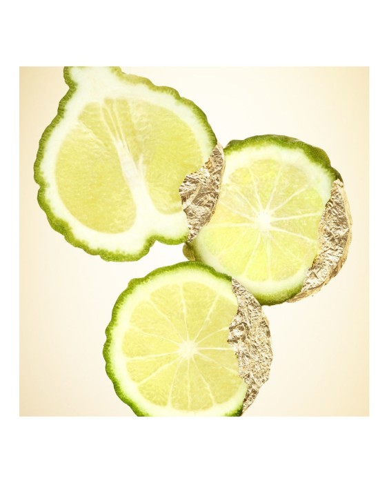 Eau de Parfum Recargable Mugler Alien Goddess 60 ml Mugler