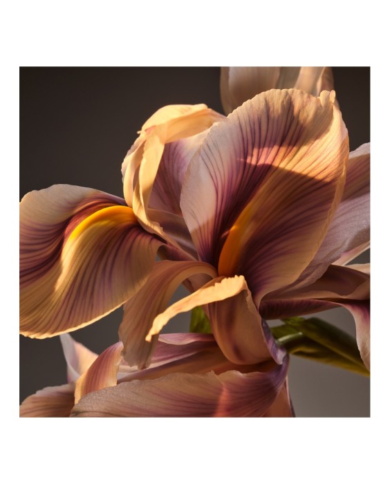 Eau de Parfum Bottled Parfum 100 ml Boss