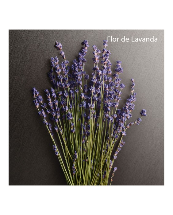 Eau de Parfum Eternity Aromatic Essence for women 50 ml Calvin Klein