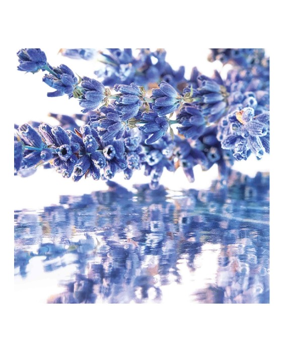 Eau de Parfum Mon Guerlain 50 ml Guerlain