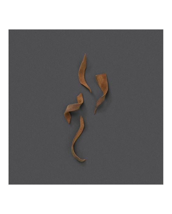 Eau de Parfum Gucci The Alchemist's Garden A Reason to Love 100 ml  Gucci