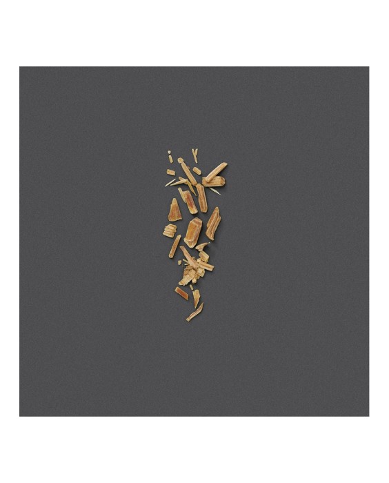 Eau de Parfum Gucci The Alchemist's Garden A Reason to Love 100 ml  Gucci