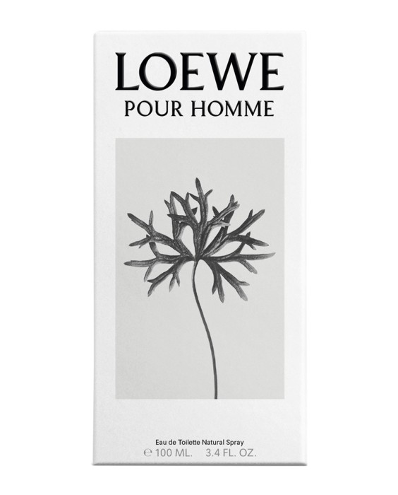 Loewe Pour Homme туалетная вода