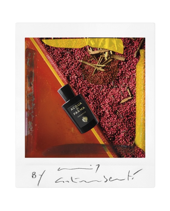 Eau de Parfum Oud & Spice Signatures of the Sun Acqua di Parma