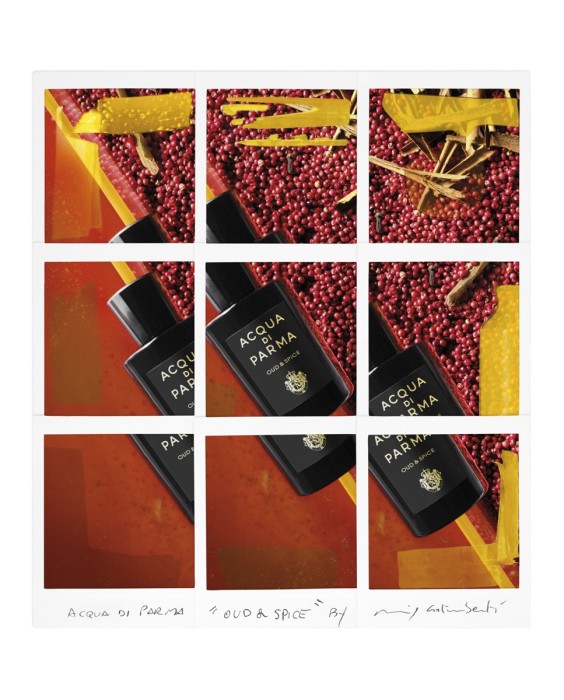 Eau de Parfum Oud & Spice Signatures of the Sun Acqua di Parma