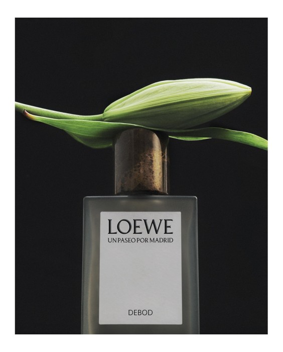 Loewe Un Paseo por Madrid Debod 100мл парфюмерная вода