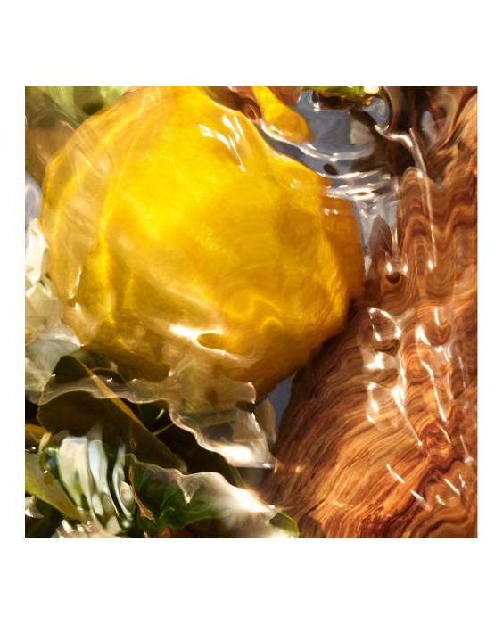 Eau de Parfum Aqua Allegoria Forte Oud Yuzu 75 ml Guerlain