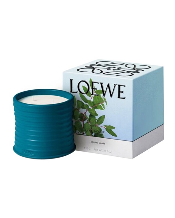 Vela aromática Home Scents Incense M Loewe