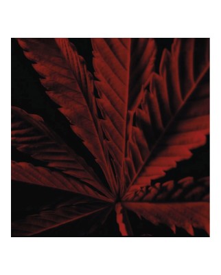 Eau de Toilette Intense Habit Rouge L'Instinct 50 ml Guerlain