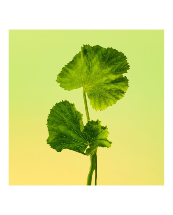 Eau de Toilette Eternity for men 200 ml Calvin Klein