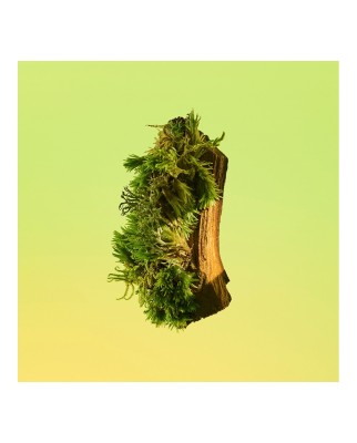 Eau de Toilette Eternity for men 200 ml Calvin Klein