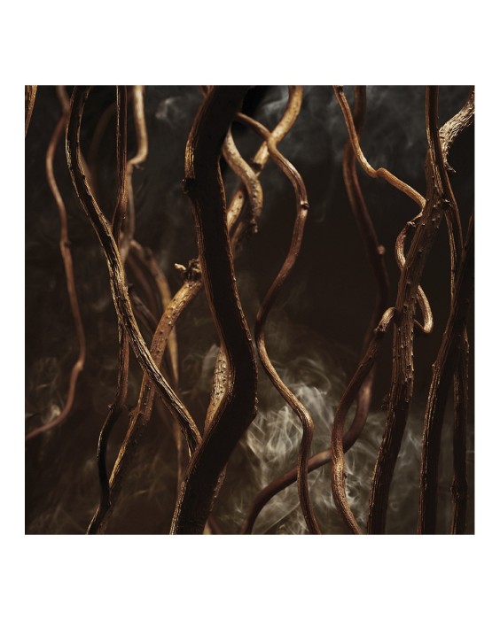 Eau de Parfum Boss Bottled Elixir 100 ml Boss