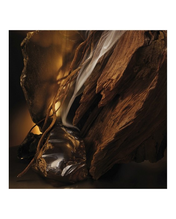 Eau de Parfum Boss Bottled Elixir 100 ml Boss