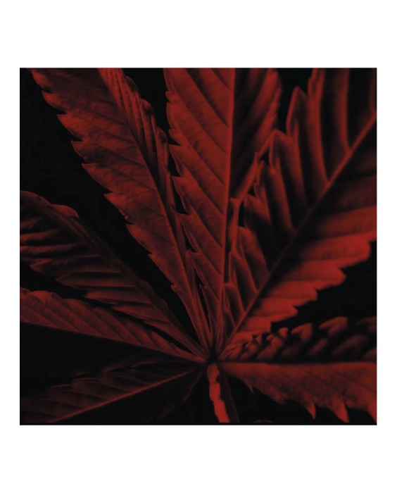 Eau de Toilette Intense Habit Rouge L'Instinct 100 ml Guerlain