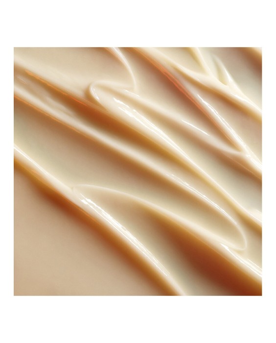 Recarga Crema Excepcional Global Creme Or Rouge Crème Riche 50 ml Yves Saint Laurent