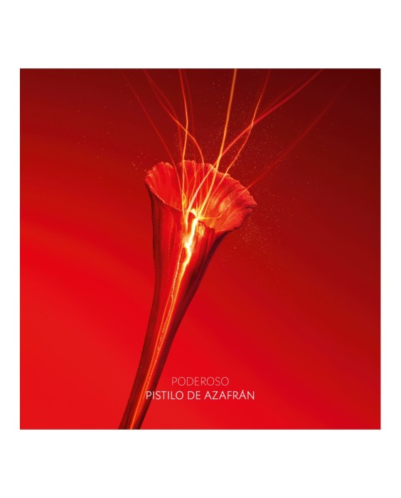 Recarga Crema Excepcional Global Creme Or Rouge Crème Riche 50 ml Yves Saint Laurent