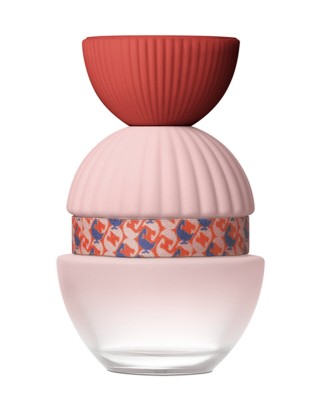 Eau de Parfum Fun&amp;Chic 100 ml El Ganso