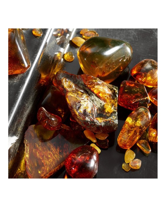 Eau de Parfum Intense Q 50 ml Dolce & Gabbana