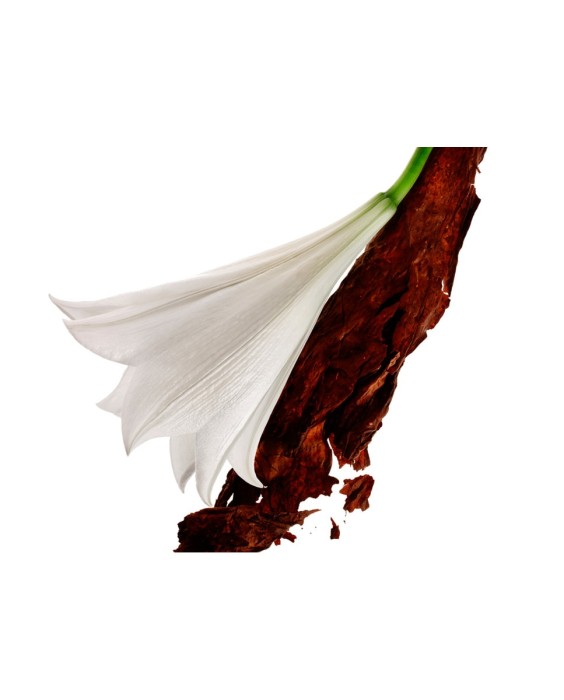 Mon Paris 90 ml Yves Saint Laurent Парфюмерная вода