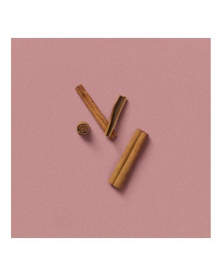 Eau de Parfum Gucci The Alchemist's Garden A Gloaming Night 100 ml  Gucci