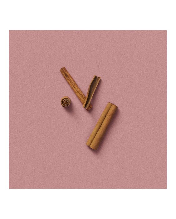 Eau de Parfum Gucci The Alchemist's Garden A Gloaming Night 100 ml  Gucci