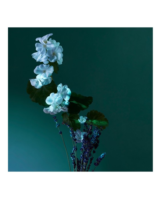 Penhaligon's A Balm of Calm 100мл парфюмерная вода