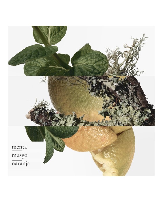 Hermès Eau d'Orange Verte 200 мл гель для душа для тела и волос