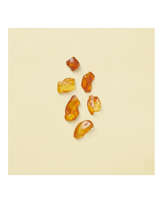 Eau de Parfum Gucci The Alchemist's Garden The Eyes of the Tiger 100 ml  Gucci