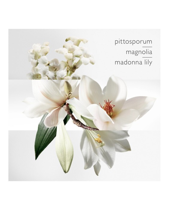 Hermès Un Jardin Sur la Lagune туалетная вода