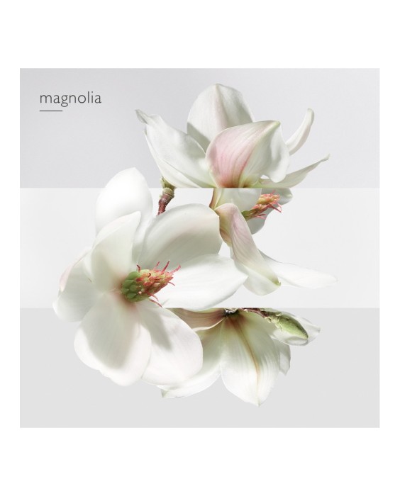 Hermès Un Jardin Sur la Lagune туалетная вода