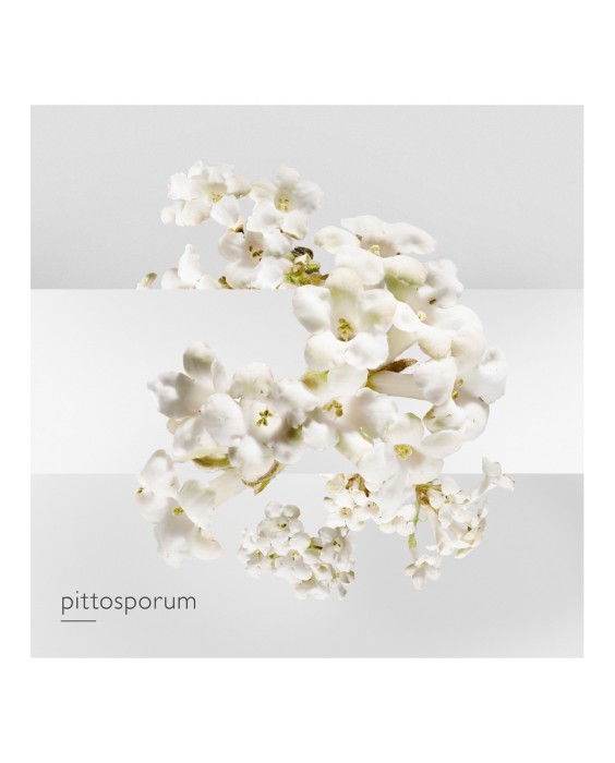 Hermès Un Jardin Sur la Lagune туалетная вода