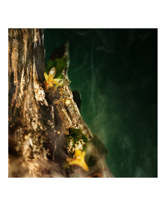 Eau de Parfum True Oud 100ml Herrera Confidential Carolina Herrera