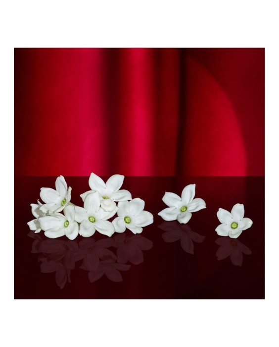 Eau de Parfum Show me Love 100 ml Escada