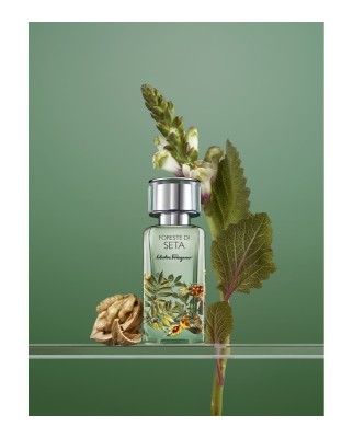 Eau de Parfum Foreste Di Seta 100 ml Salvatore Ferragamo