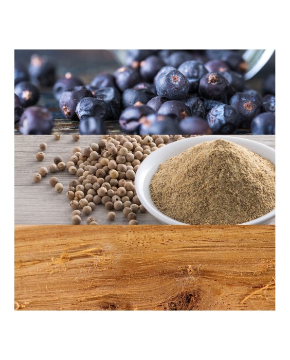 Eau de Toilette cK Be 100 ml Calvin Klein