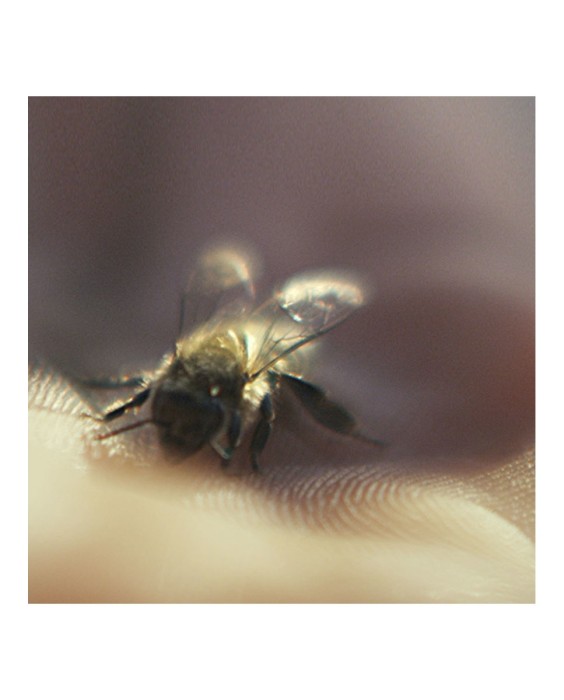 Aceite Limpiador Abeille Royale 150 ml Guerlain