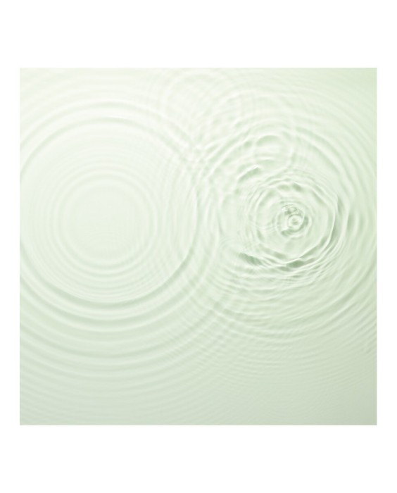 Giorgio Armani Crema Nera Acqua Reviscentalis Reviving Treatment 150мл Лосьон для лица