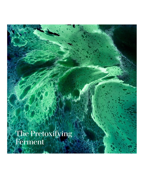 Mascarilla de tratamiento Deep Purifying La Mer