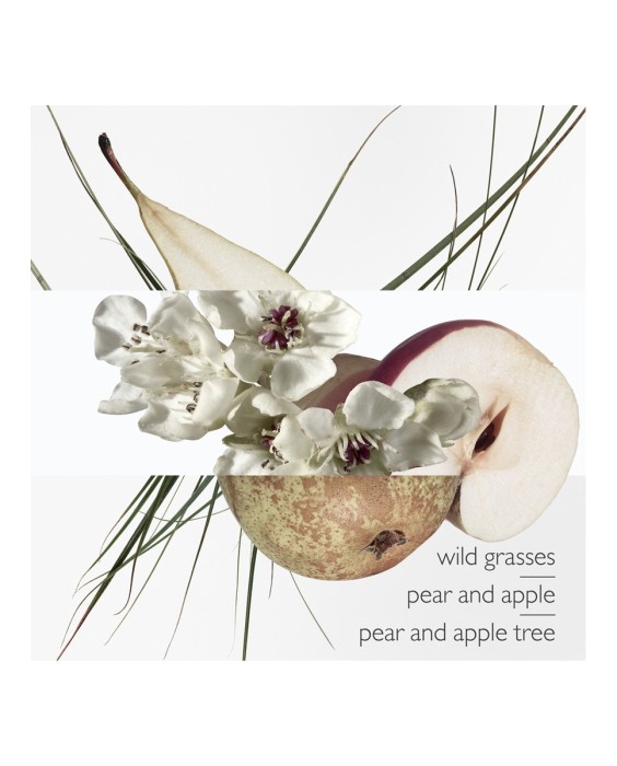 Hermès Un Jardin Sur le Toit туалетная вода