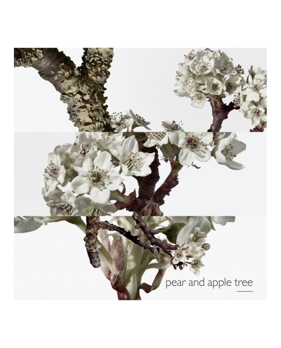 Hermès Un Jardin Sur le Toit туалетная вода