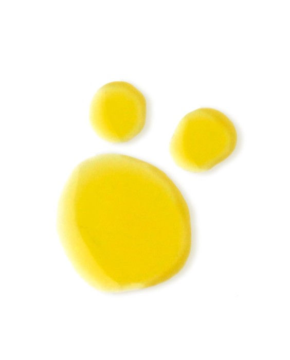 Sérum Bio-Retinol + C Booster 15ml Evolve