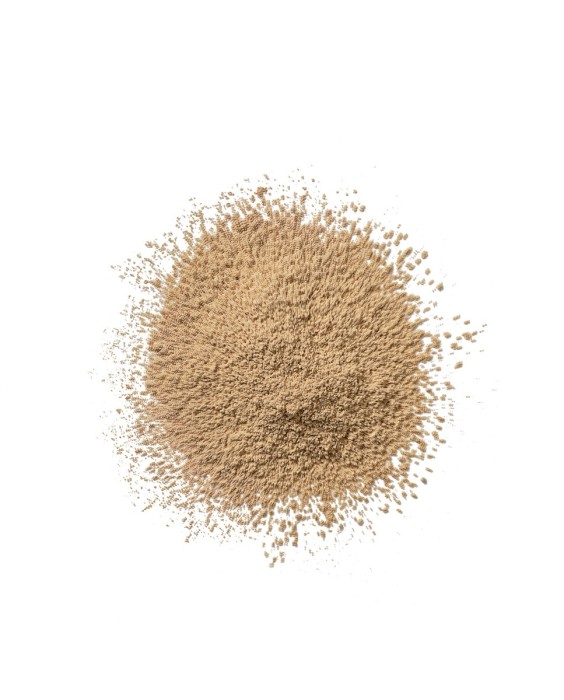 Polvos Sueltos Ligeros Blended Face Clinique