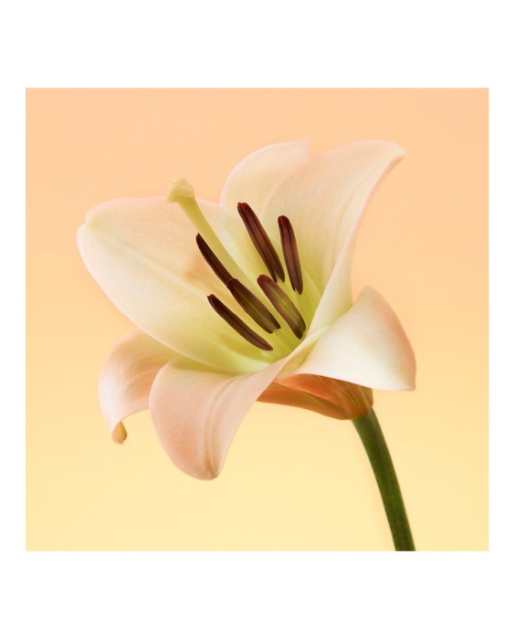 Calvin Klein Eternity парфюмерная вода