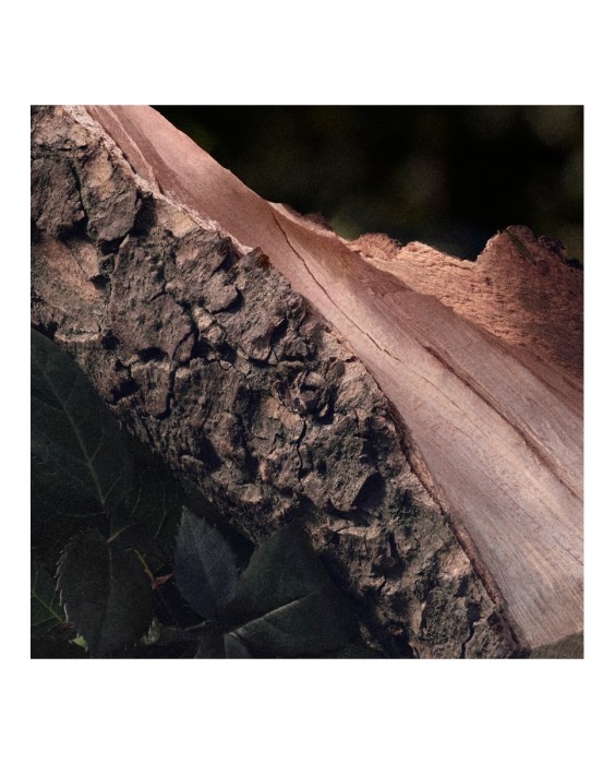 Chloé Signature Rose Naturelle 150мл парфюмерная вода, рефилл