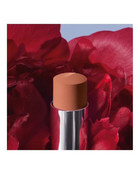 Barra de labios que no transfiere - Mate ultrapigmentado - Comodidad sensación segunda piel