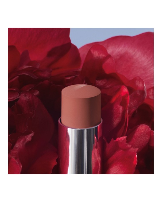 Barra de labios que no transfiere - Mate ultrapigmentado - Comodidad sensación segunda piel