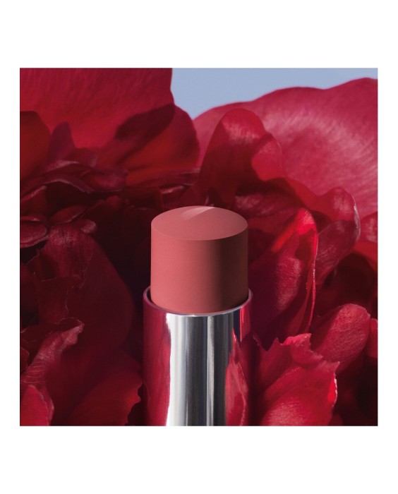 Barra de labios que no transfiere - Mate ultrapigmentado - Comodidad sensación segunda piel