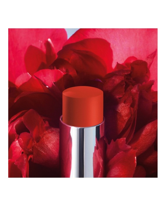 Barra de labios que no transfiere - Mate ultrapigmentado - Comodidad sensación segunda piel