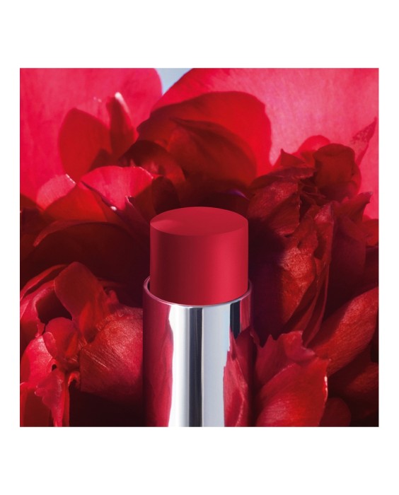 Barra de labios que no transfiere - Mate ultrapigmentado - Comodidad sensación segunda piel