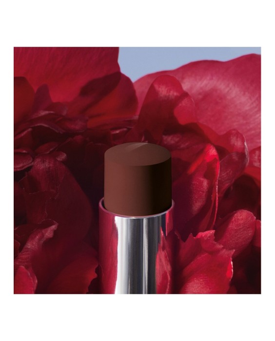 Barra de labios que no transfiere - Mate ultrapigmentado - Comodidad sensación segunda piel